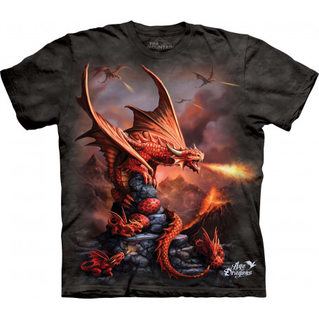 Fire Dragon T-Shirt The Mountain