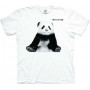 T-Shirt Panda Cub
