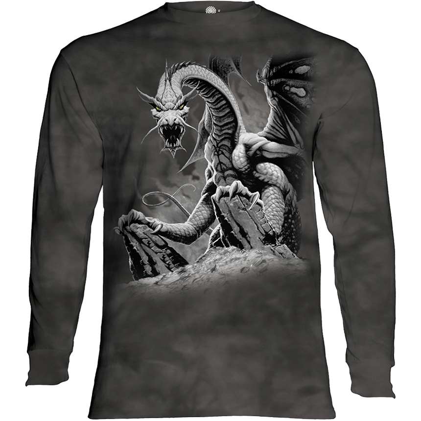 sears dragon shirt