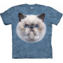 Blue Point Cat T-Shirt