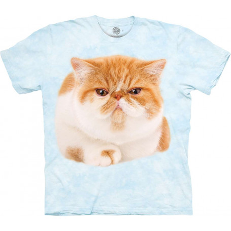 Round Orange Cat T-Shirt
