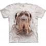 Italian Mastiff T-Shirt