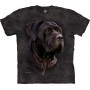 Black Italian Mastiff T-Shirt