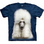 Fluffy Poodle T-Shirt