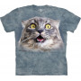 Scaredy Cat T-Shirt