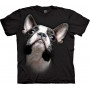 Adorable Boston Terrier T-Shirt