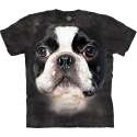 BF Boston TerrierT-Shirt