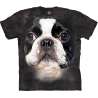 BF Boston TerrierT-Shirt
