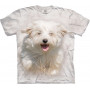Little White Dog Run T-Shirt