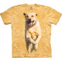 Running Yellow Dog T-Shirt