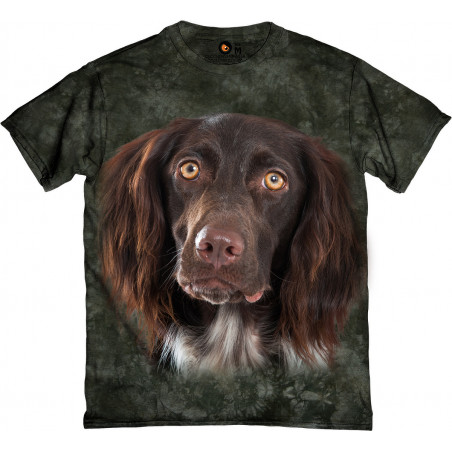 Small Munsterlander Dog...