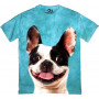 Guess Who Frenchie T-Shirt