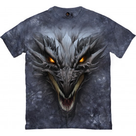Dragon Head in Black T-Shirt Dragon Head in Black T-Shirt