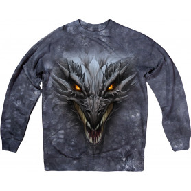 Dragon Head in Black Sweatshirt Dragon Head in Black Sweatshirt