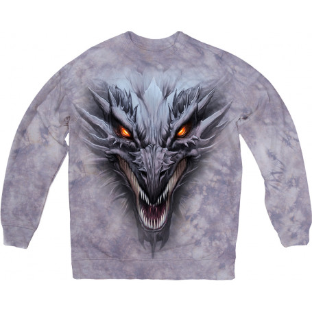 Dragon Head in Grey Sweatshirt
