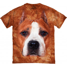American Staffordshire...