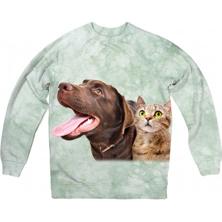 Funny Labrador and a Curious Cat Scottish Straight Sweatshirt
