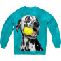 Playful Dalmatian Sweatshirt