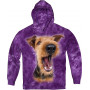 Excited Airedale Terrier in purple Hoodie