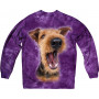 Excited Airedale Terrier in purple Sweatshirt