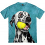 Playful Dalmatian in Blue T-Shirt