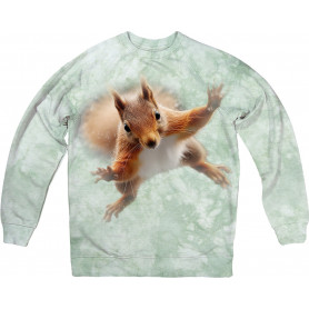 Crazy Squirrel Sweatshirt Crazy Squirrel Sweatshirt