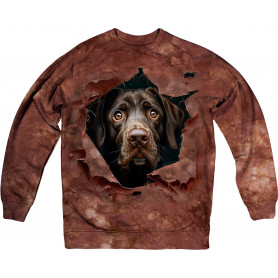Brown Lab Breakthrough...