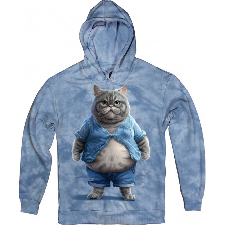 Cat with Belly in Blue Hoodie