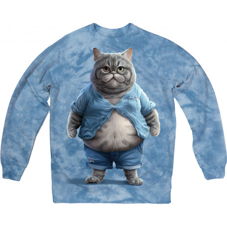 Cat with Belly in Blue Sweatshirt