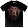 Brown Lab T-Shirt