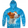 Jack Russell Curious Hoodie