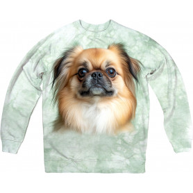 Dreaming Pekingese Face...