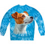 Jack Russell Curious Sweatshirt