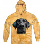Black Labrador Face Hoodie