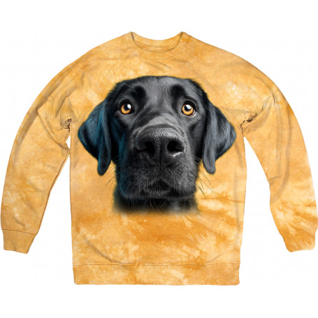 Black Labrador Face Sweatshirt