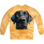 Black Labrador Face Sweatshirt