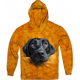 Labrador Curious Look Hoodie