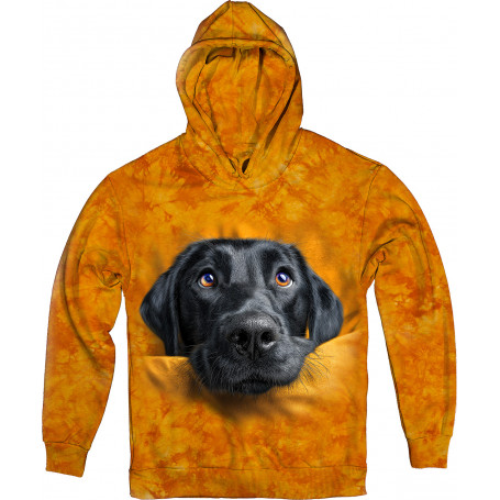 Labrador Curious Look Hoodie
