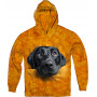 Labrador Curious Look Hoodie