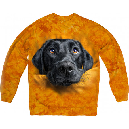 Labrador Curious Look Sweatshirt