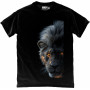 Fierce Flame Lion T-Shirt