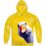 Curious Goose Hoodie