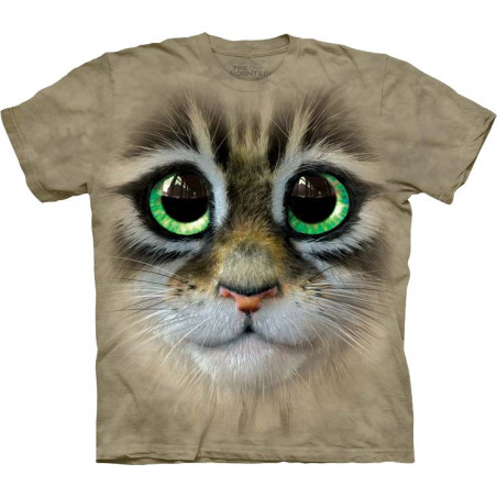 Big Eyes Kitten Face