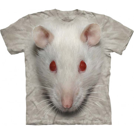 Big Face White Rat