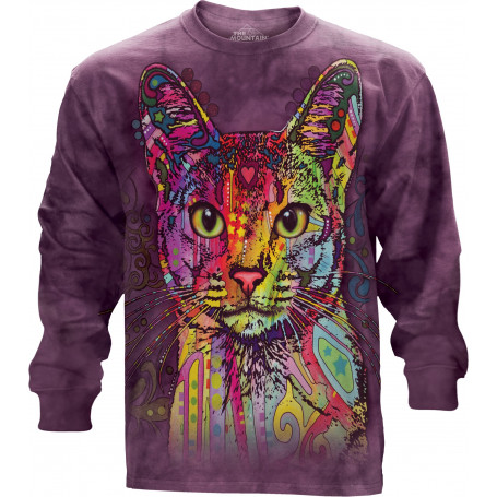 Abyssinian