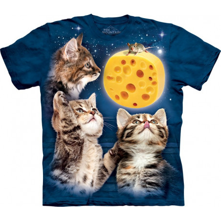 Three Kitten Cheese Moon