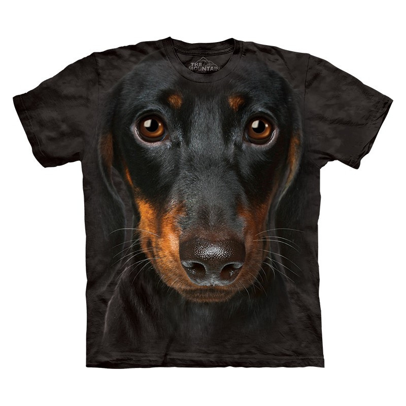 t shirt dachshund