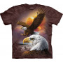 Eagle & Clouds