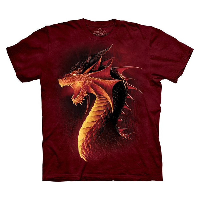 sears dragon shirt