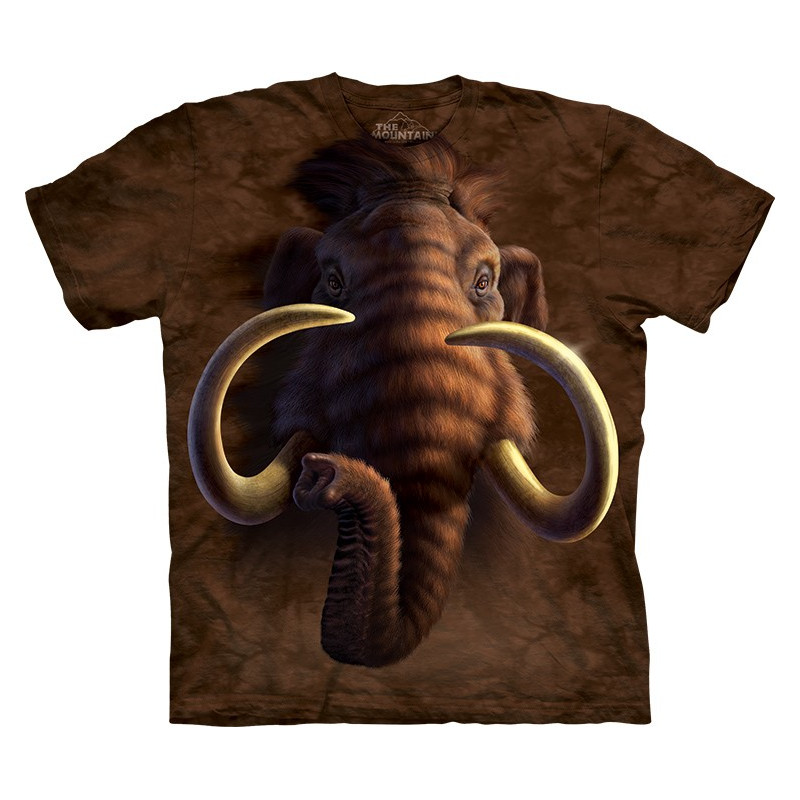 mammoth cave shirt